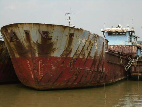 國(guó)際船舶運(yùn)輸市場(chǎng)動(dòng)態(tài) 運(yùn)泥船‘深浚駁001’等船舶拍賣(mài)信息解析